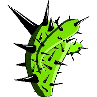 Cactus